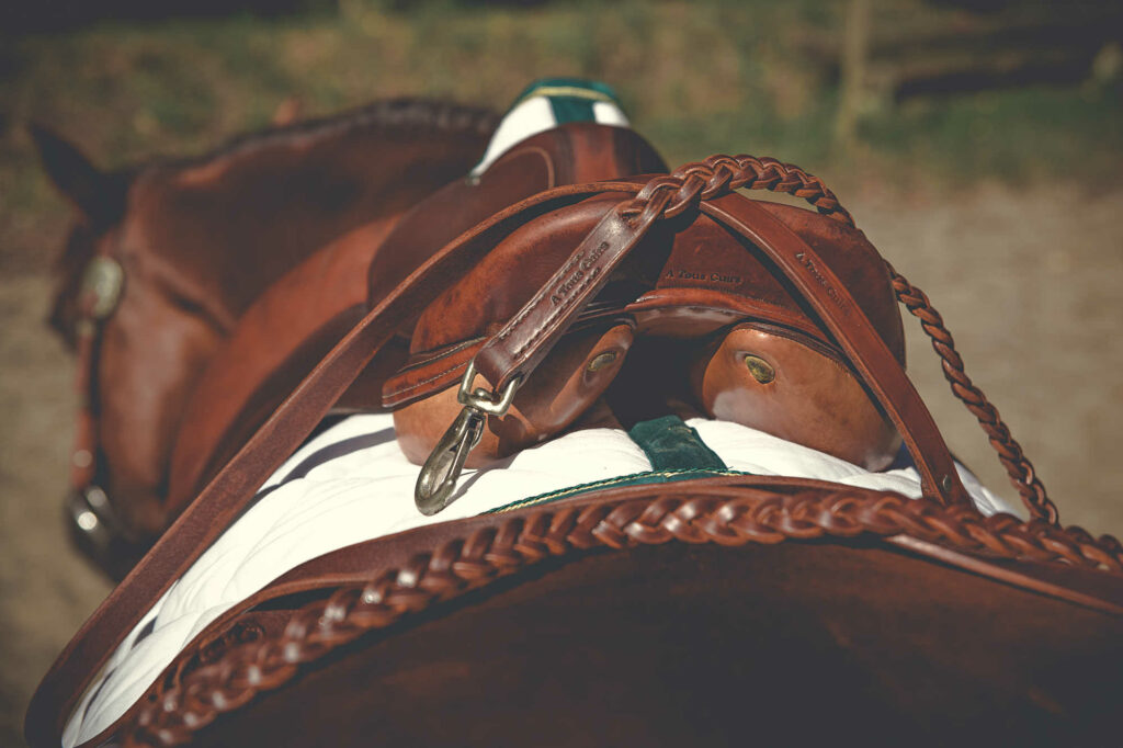 selle en cuir brun A Tous Cuirs sur cheval en Gironde, détails tressés et tapis blanc en lumière naturelle,